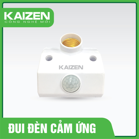 Đui đèn cảm ứng D3Z