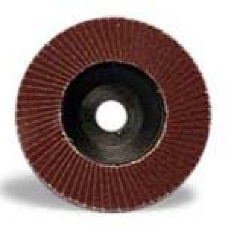 Nhám xếp ARBA đỏ.