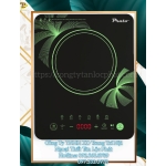 Bếp Từ PraTo Hiện Đại Thiết Bị Nhà Bếp Chuẩn Châu Âu 004