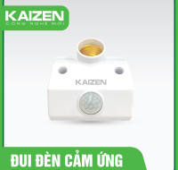 Đui đèn cảm ứng D3Z