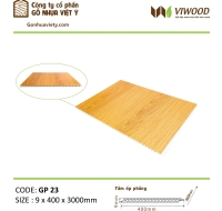 Tấm Ốp Phẳng  Có màn PVC GP 66  Size 9 x 400 x 3000mm 