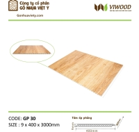 Tấm Ốp Phẳng  Có màn PVC GP 66  Size 9 x 400 x 3000mm 