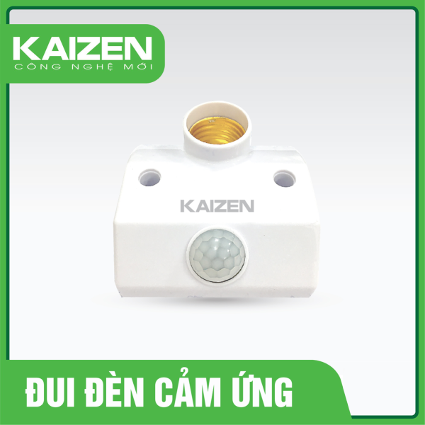 Đui đèn cảm ứng D3Z